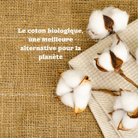 Le Coton Biologique : Une Évidence Éthique et Écologique dans la Mode