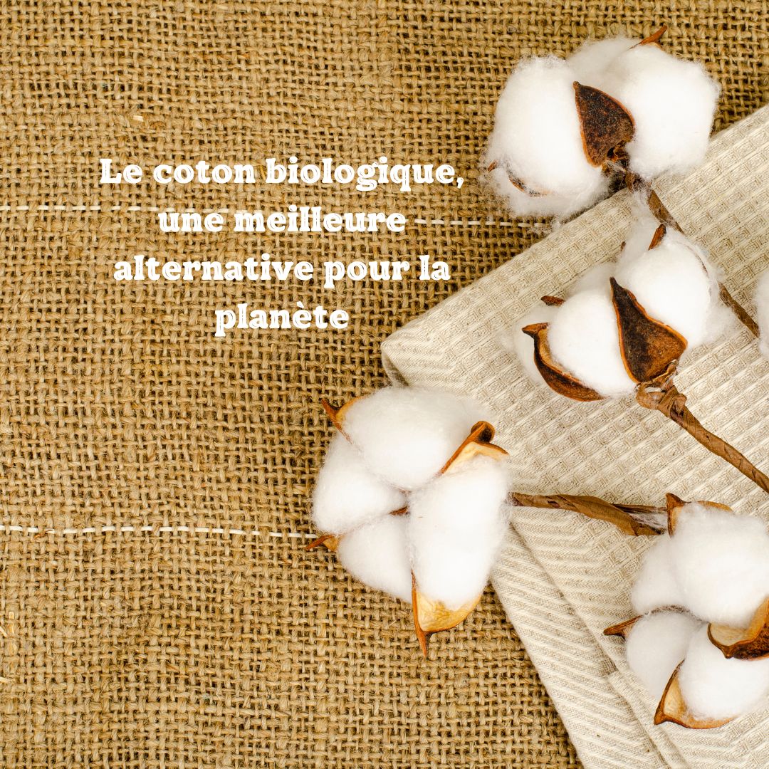 Le Coton Biologique : Une Évidence Éthique et Écologique dans la Mode