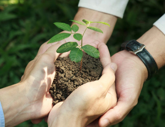 Mode Éco-Responsable : Découvrez les Initiatives Écologiques Redéfinissant l'Industrie